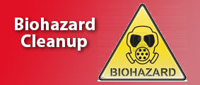 Biohazard Cleanup, Crime scene cleanup, Suicide cleanup, Blood cleanup, Decomposition cleanup, Homicide cleanup, Bodily fluid cleanup, Death cleanup, Filth cleanup, Injury cleanup, Murder cleanup, Odor removal, Self Inflicted cleanup, Tragedy cleanup, Una
