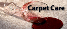 We are Northeast Wisconsin and the Upper Peninsula's premium carpet cleaner The Iron Mountain Daily News readers voted us the "Best Carpet Cleaner for 2015" Regular professional cleaning of your carpet is important Your carpet will wear better and last lo