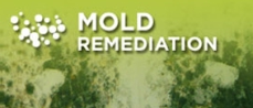 Mold Damage Restoration Classic Carpet Care and Restoration Iron River, MI